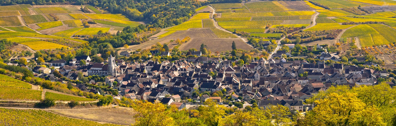 Tours 2 jours en Bourgogne: Auxerre - Chablis et la Côte de Beaune - Bourgogne - Circuits au départ de Paris