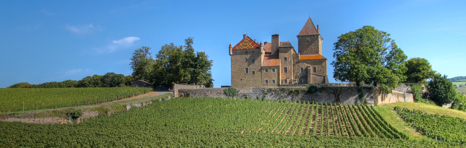 Tours Grand Tour de Bourgogne: Une semaine pour (presque) tout voir et tout goûter! - Bourgogne - Circuits au départ de Paris