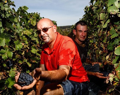 Producteurs de champagne près de Paris