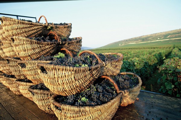 Champagne - Bourgogne – Berry - Multi-régions - Circuits au départ de Paris