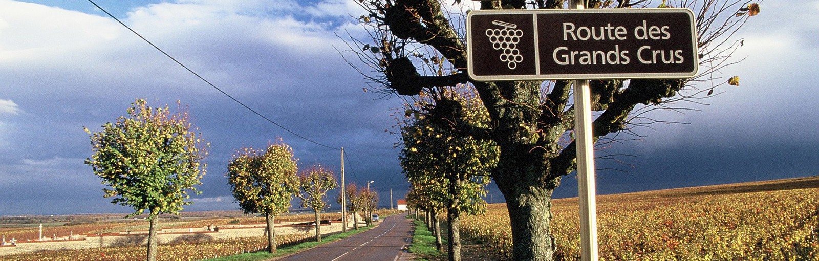 Tours Champagne - Bourgogne – Berry - Multi-régions - Circuits au départ de Paris