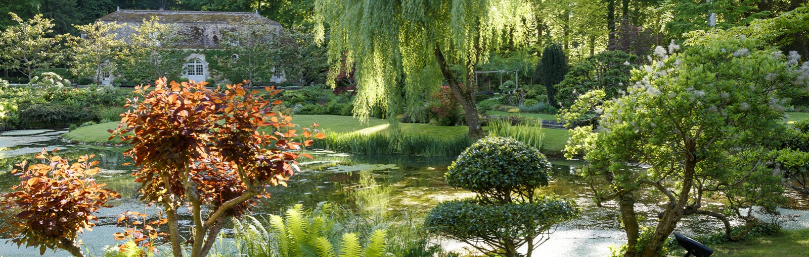 Séjour au vert