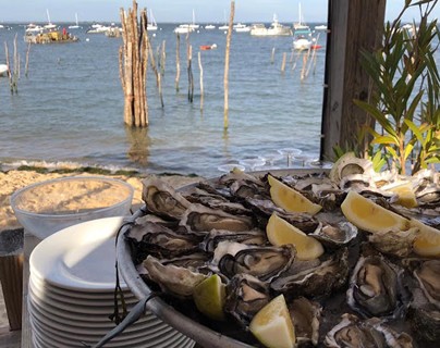Huîtres du bassin