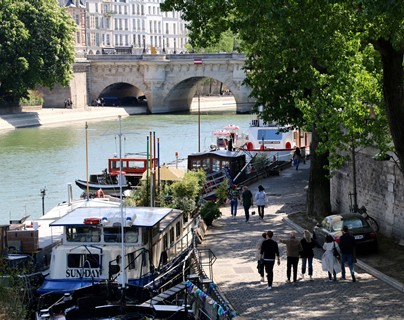 La Seine - Le Pont-Neuf