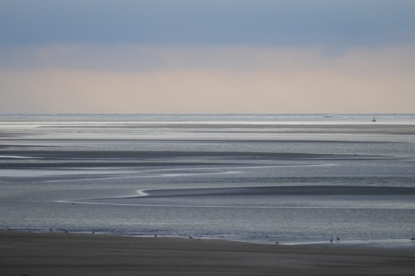 Baie de Somme - phoques - guerre mondiale WW1 - Crotoy - Hourdel