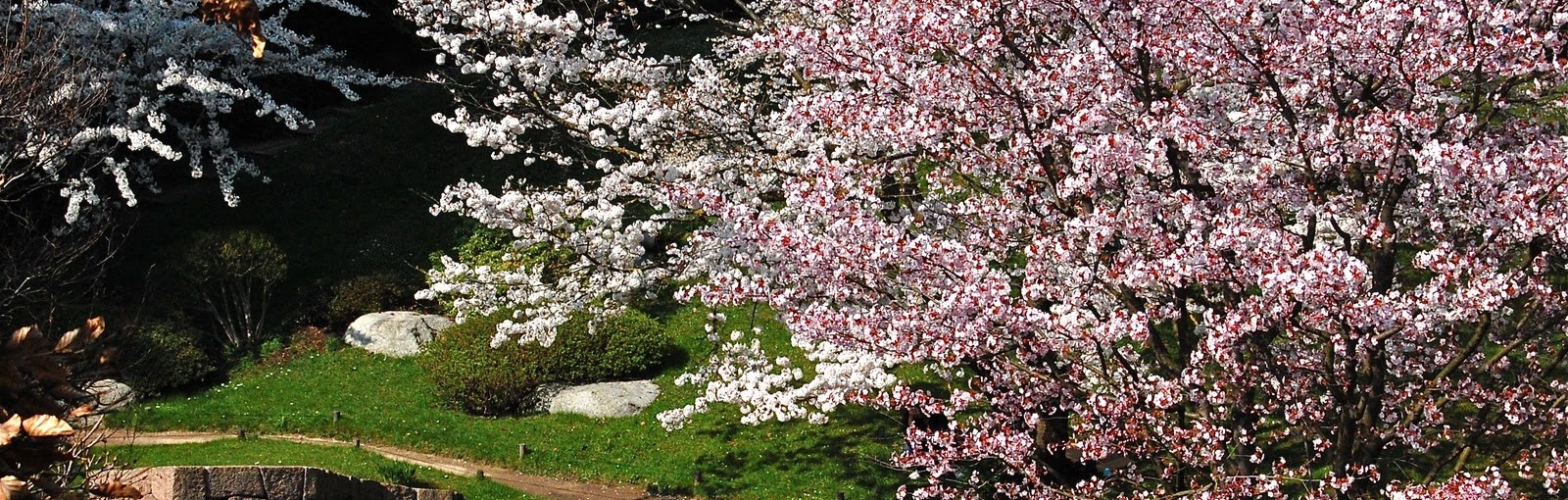 Tours Au Nord-Ouest de l'Île-de-France: de Van Gogh à Rodin et de Joséphine à Louis XIV! - Île-de-France - Circuits au départ de Paris