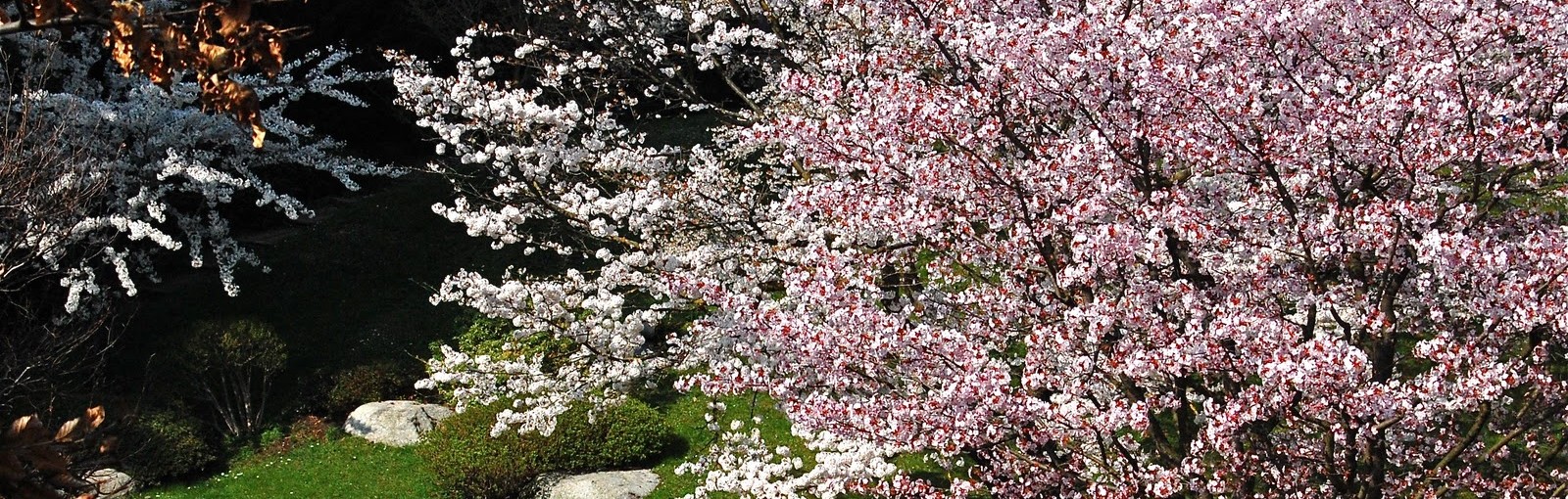 Excursion Paris - Ile-de-France