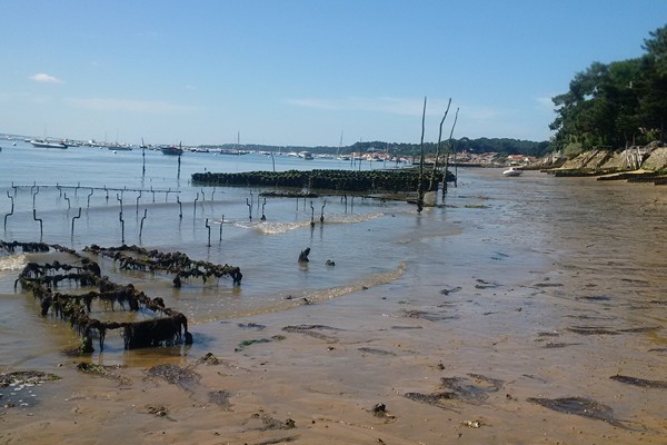 Plage du Canon