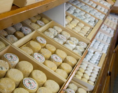 Crottins de Chavignol