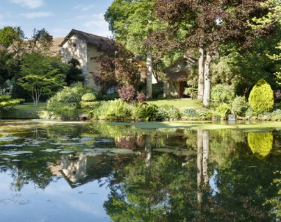 Séjour au vert