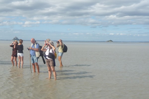 Randonnée dans la baie du Mont-Saint-Michel