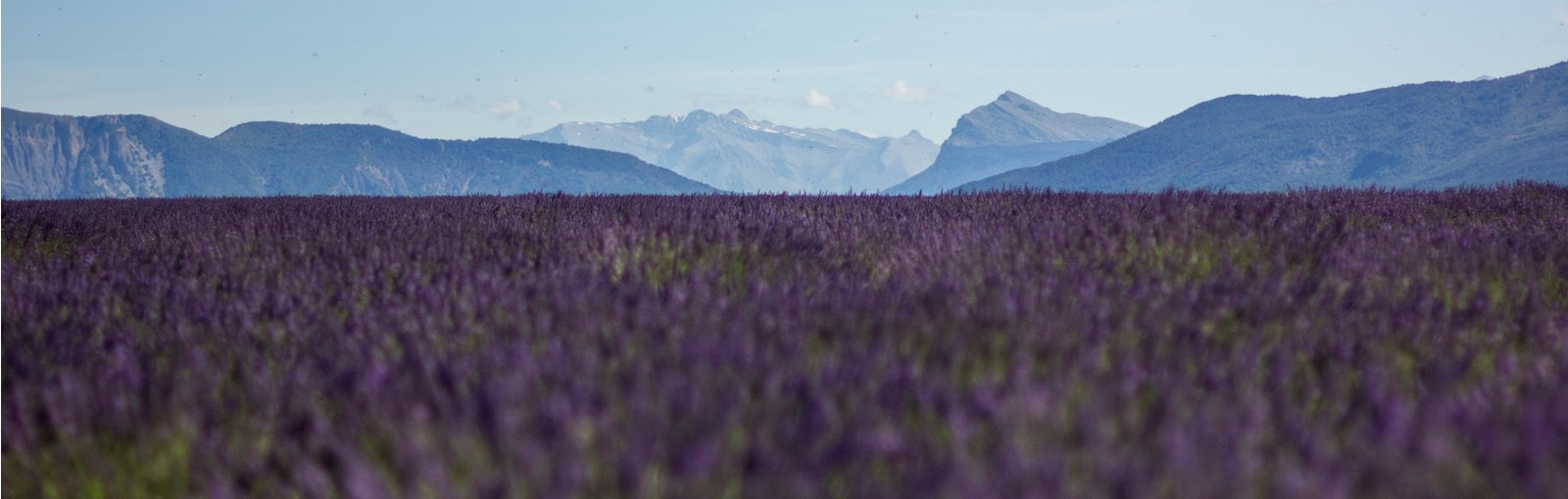 Provence - Tours en régions