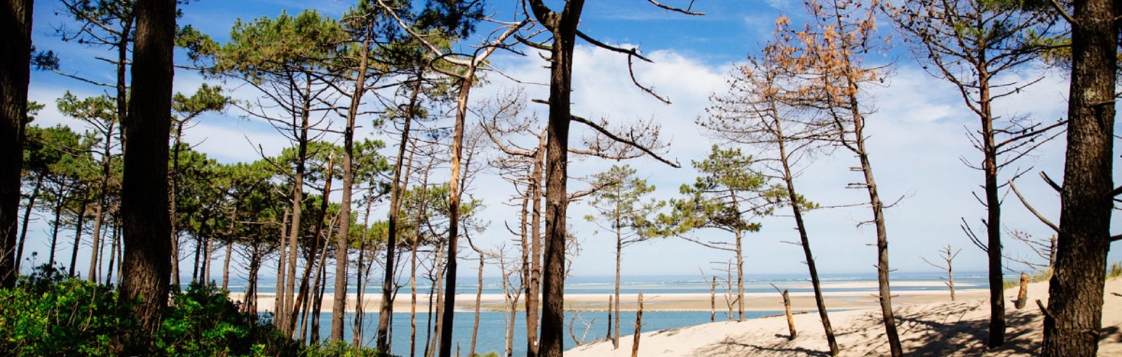 Tours Une semaine à Arcachon - Séjours - Nos Séjours et Circuits Privés - En famille ou groupes d'amis