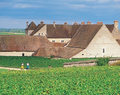 Clos de Vougeot
