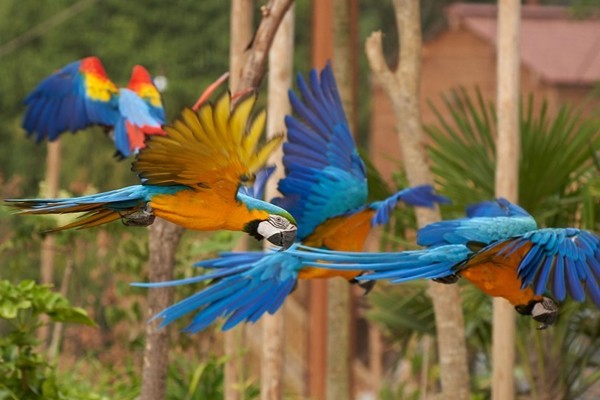 Séjour exotique et historique en France